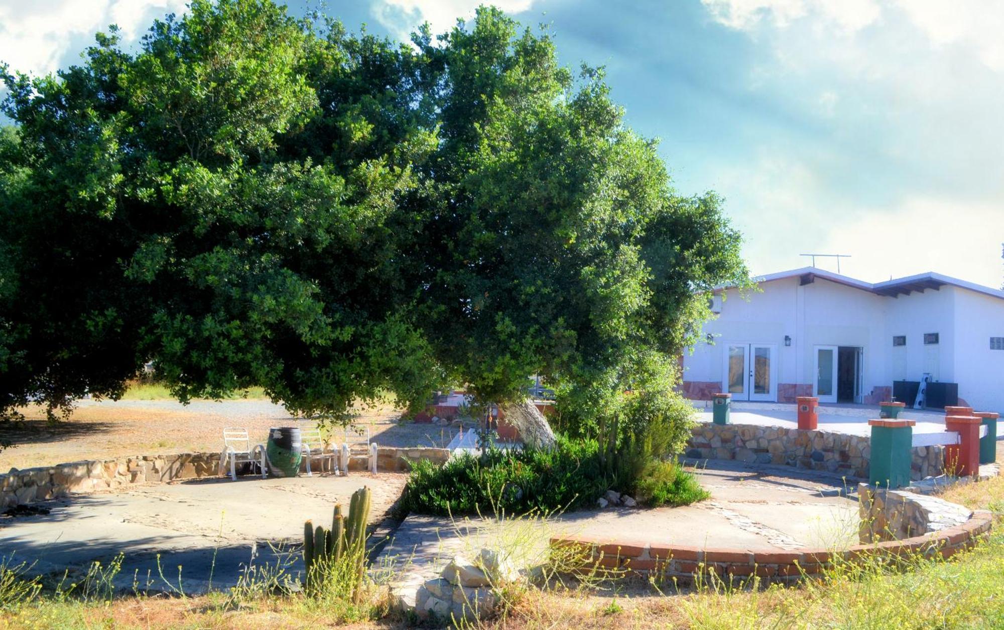 Kalanchoe Poshtel Suites Las Palmas  Exterior photo